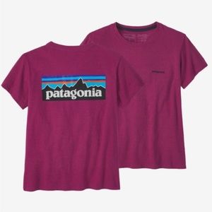 Women's Patagonia responibili-tee Tshirt Size Small